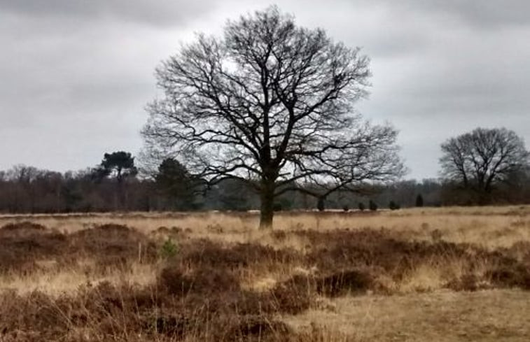 Natuurhuisje in Haaksbergen