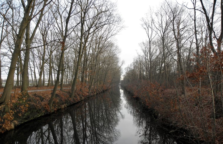 Natuurhuisje in Grashoek