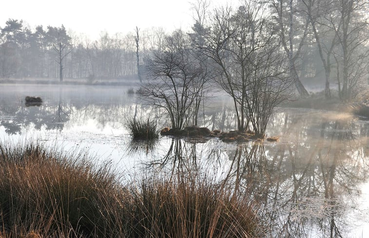 Natuurhuisje in Enschede