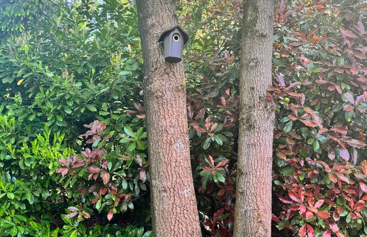 Natuurhuisje in Spier