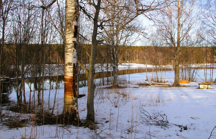 Natuurhuisje in Torsby