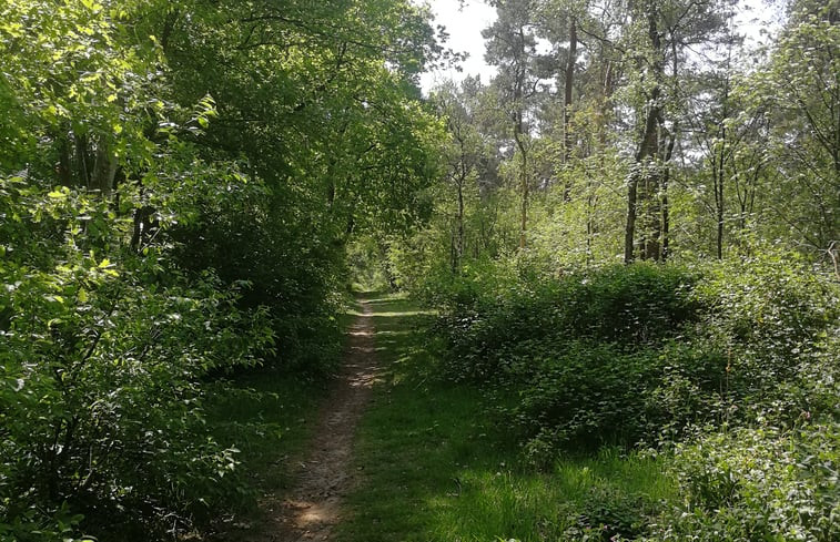 Natuurhuisje in Lage Mierde