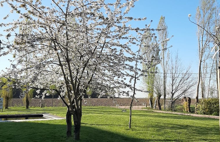 Natuurhuisje in Lievegem