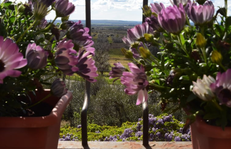 Natuurhuisje in Viterbo