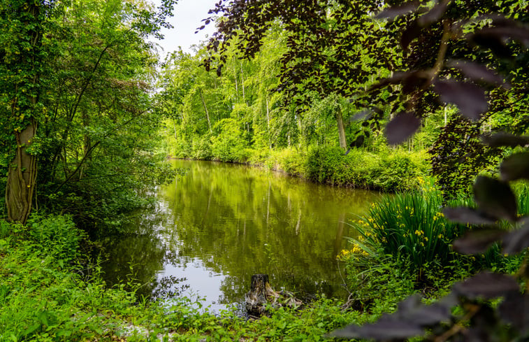 Natuurhuisje in Oostkapelle