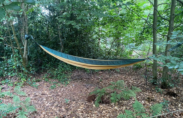 Natuurhuisje in Olst