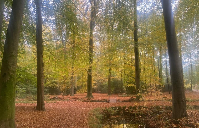 Natuurhuisje in Haren