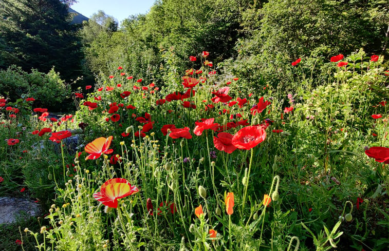 Natuurhuisje in Nohèdes