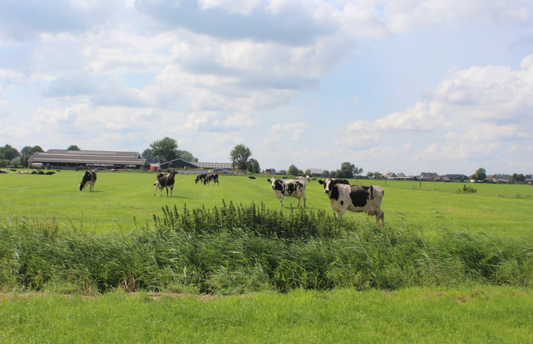 Natuurhuisje in Genderen