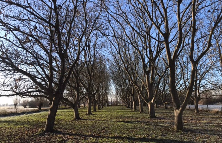 Natuurhuisje in Nijbroek