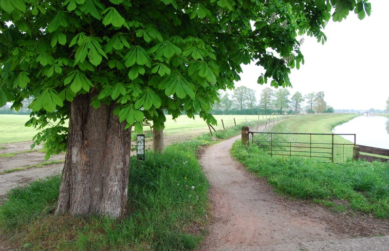 Natuurhuisje in Borculo