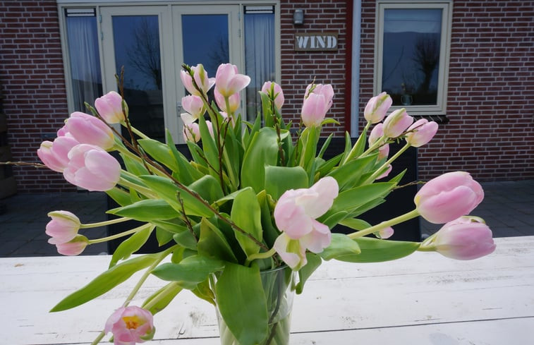 Natuurhuisje in Vrouwenpolder