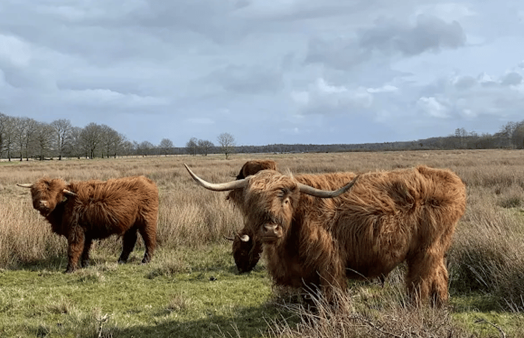 Natuurhuisje in Elsloo