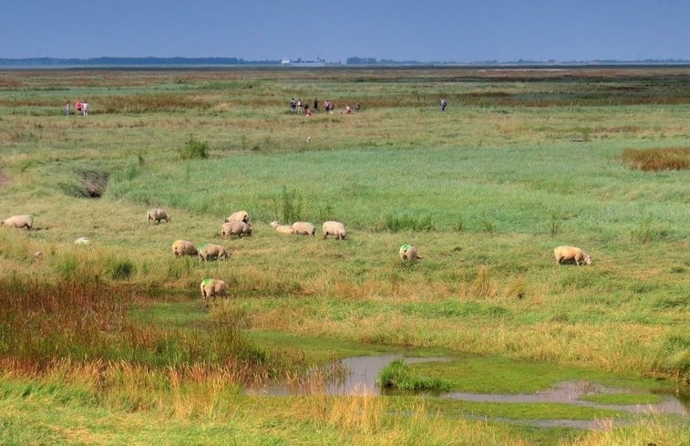 Natuurhuisje in Graauw