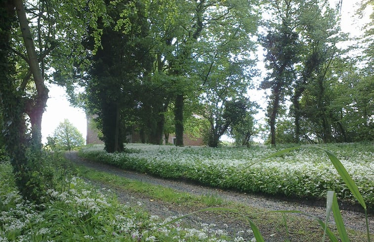 Natuurhuisje in Heikruis