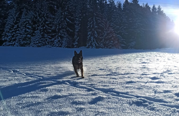 Natuurhuisje in St.Georgen