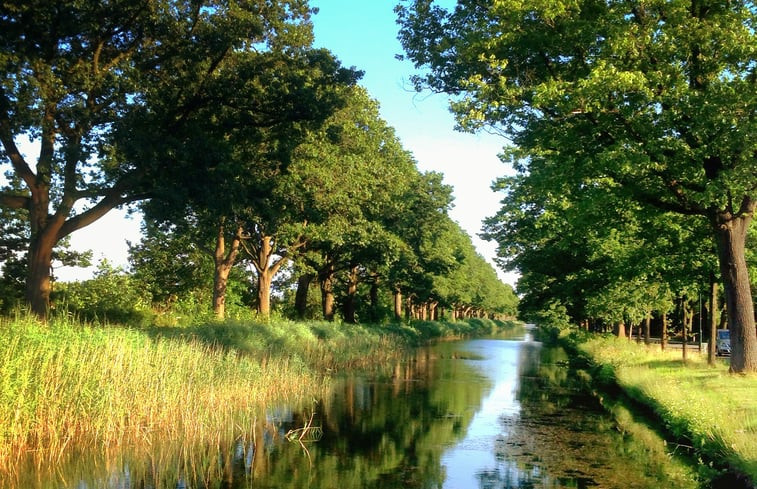 Natuurhuisje in Brummen