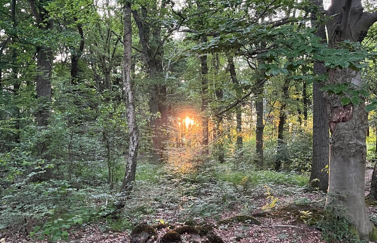 Natuurhuisje in Saerbeck