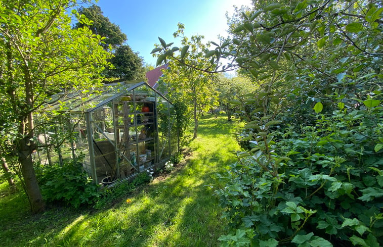 Natuurhuisje in De Koog