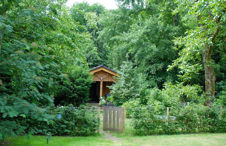 Natuurhuisje in Schoorl