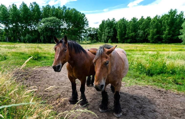 Natuurhuisje in Sint-Pieters-Leeuw