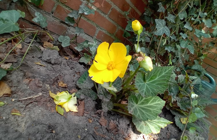 Natuurhuisje in Heeten