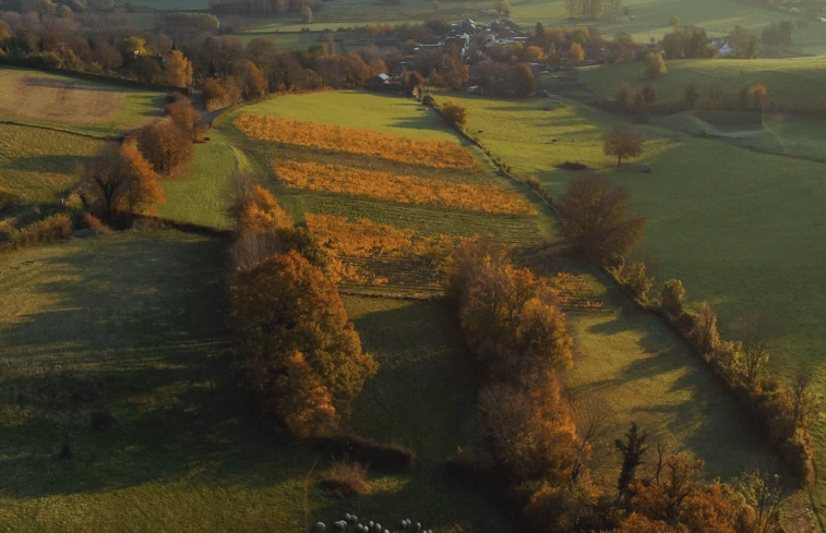 Natuurhuisje in Wijlre