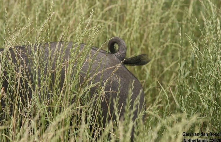 Natuurhuisje in Baarschot