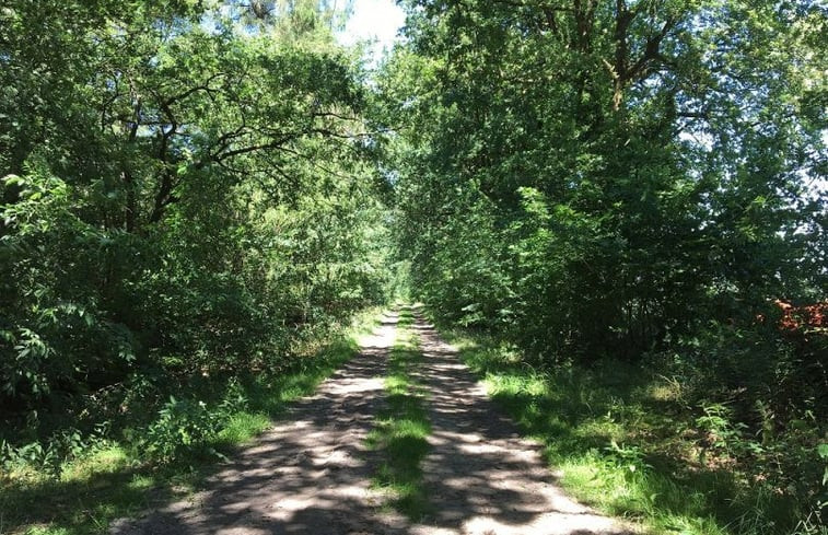 Natuurhuisje in Eeserveen