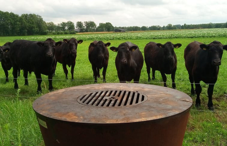 Natuurhuisje in Erp