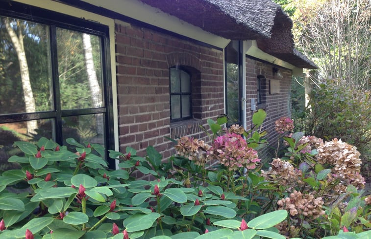 Natuurhuisje in Balkbrug