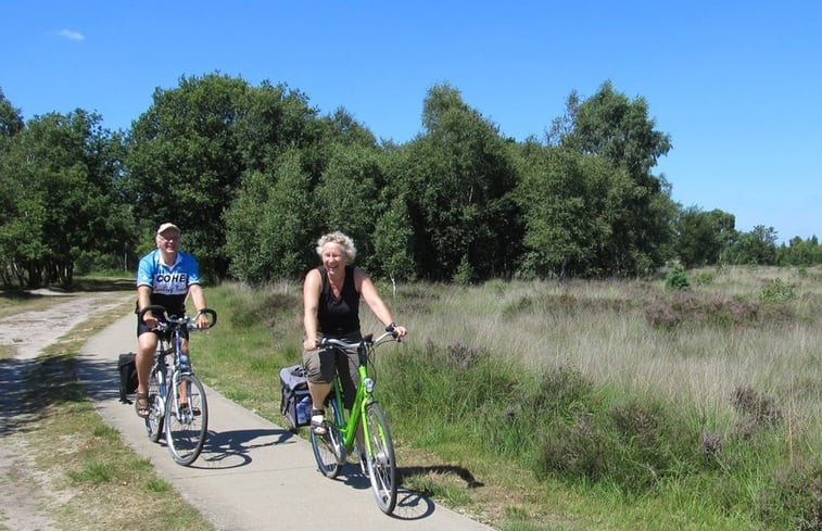 Natuurhuisje in Ermelo