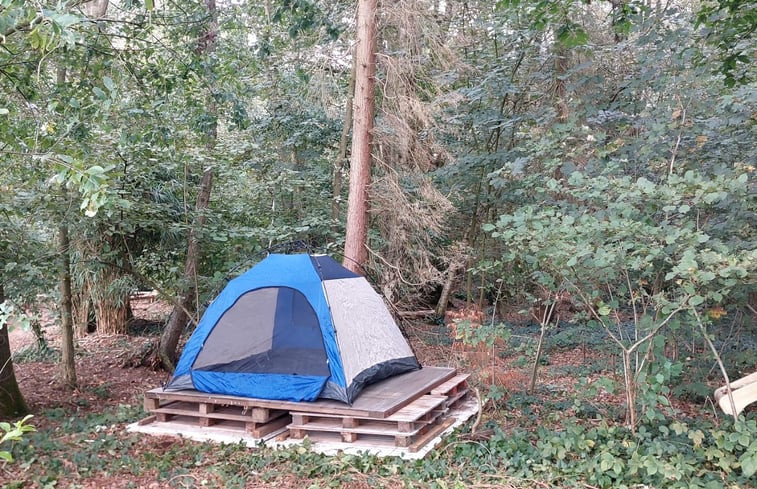 Natuurhuisje in Kasterlee