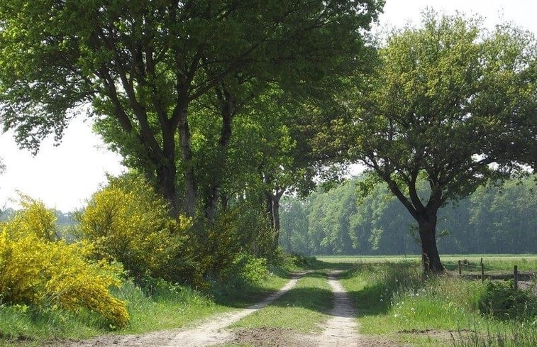 Natuurhuisje in Riethoven