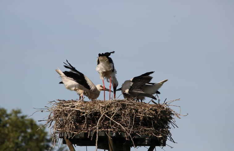 Natuurhuisje in Kortenhoef