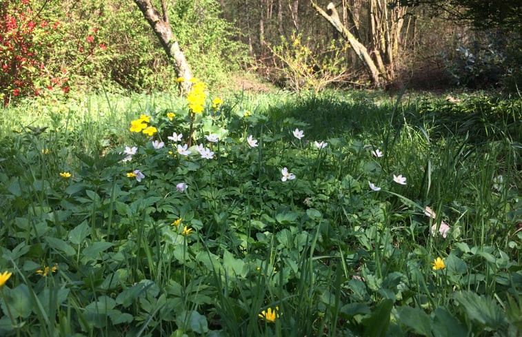 Natuurhuisje in Klarenbeek