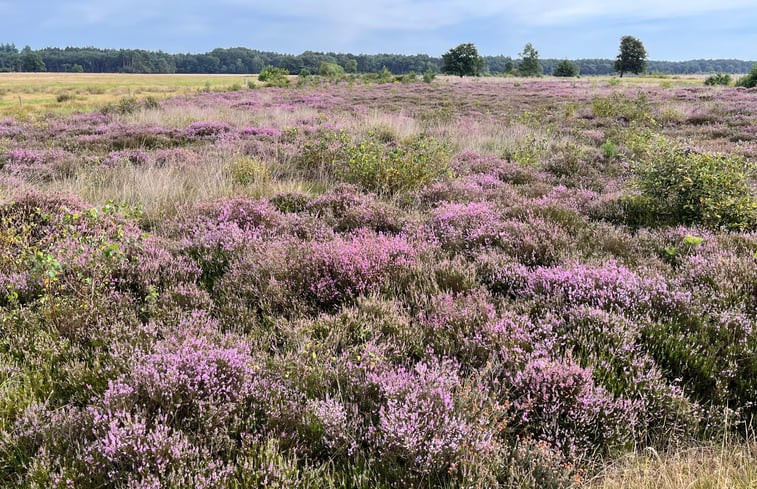 Natuurhuisje in Ruinen