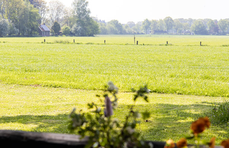 Natuurhuisje in Laren