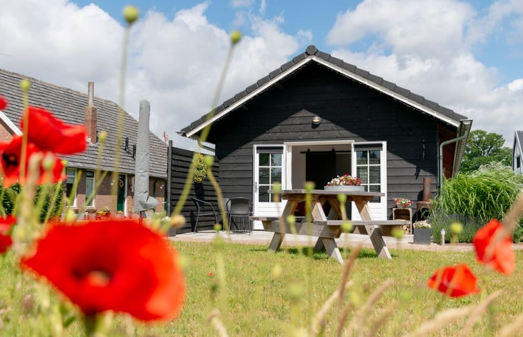 Natuurhuisje in Doetinchem