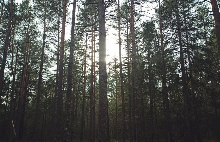 Natuurhuisje in St.Georgen