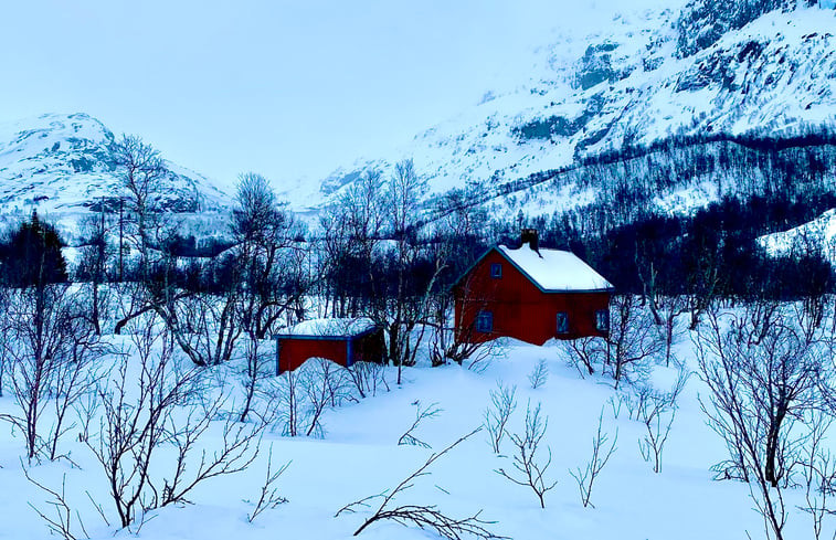 Natuurhuisje in Holsbru Årdal kommune