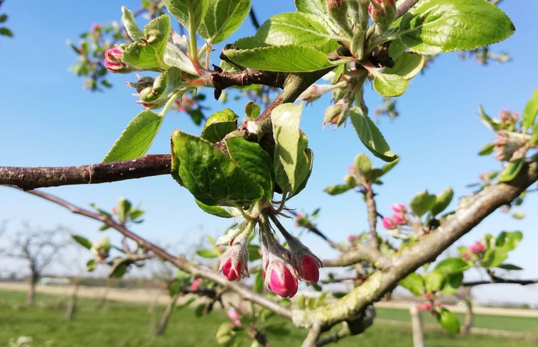 Natuurhuisje in Hem