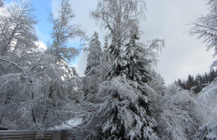 Natuurhuisje in Lierneux