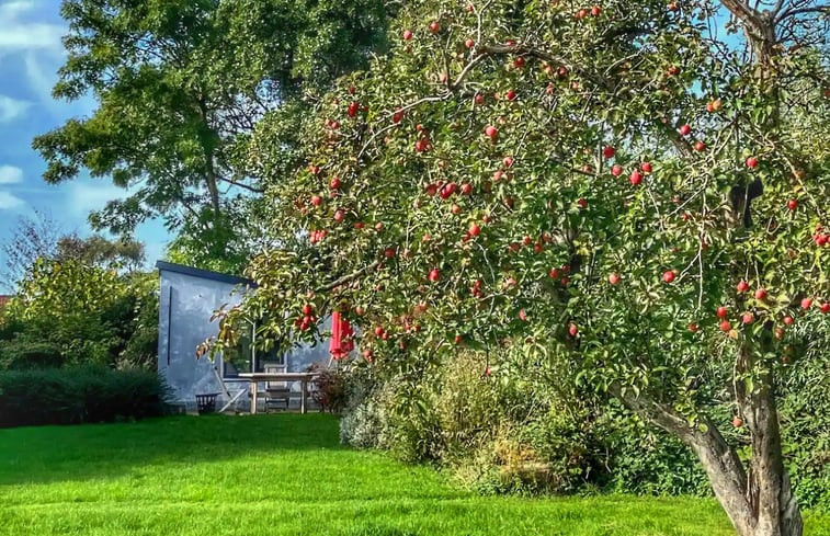 Natuurhuisje in Oostkapelle