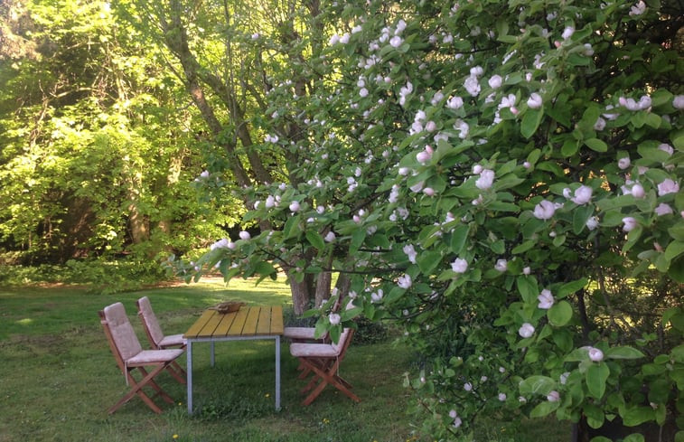 Natuurhuisje in Goch-Pfalzdorf