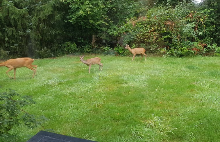 Natuurhuisje in Zorgvlied