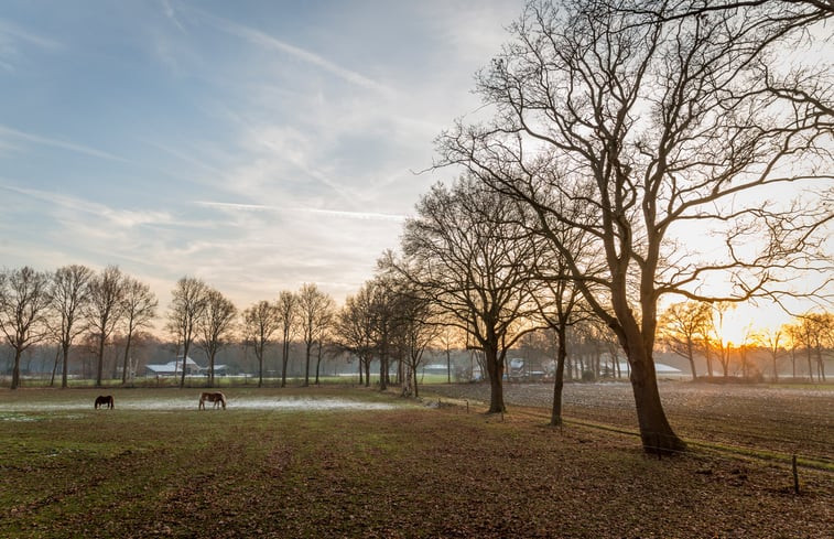 Natuurhuisje in Lettele