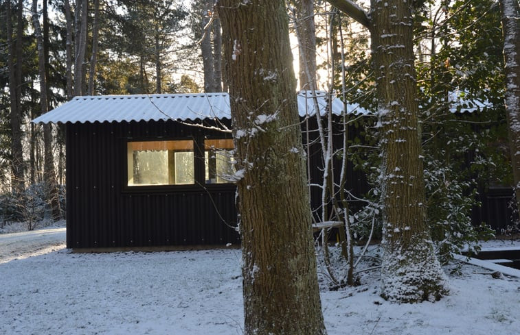 Natuurhuisje in Oudemirdum