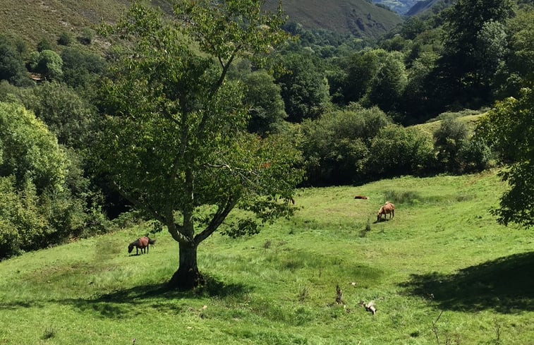 Natuurhuisje in Puente Miera