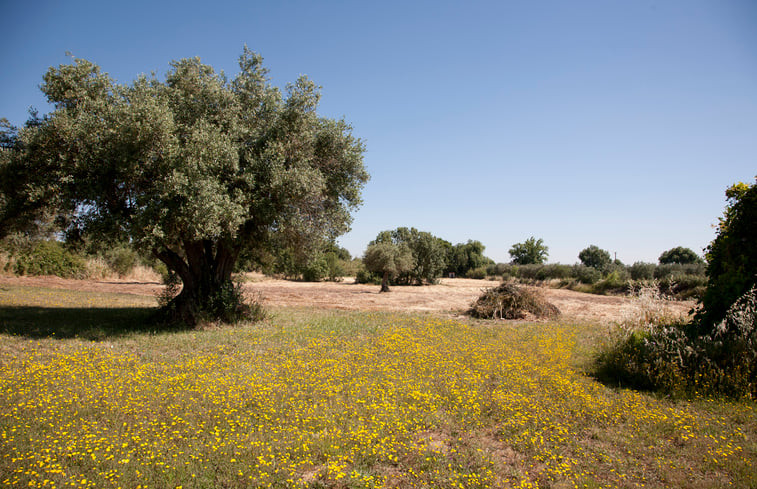 Natuurhuisje in Évora